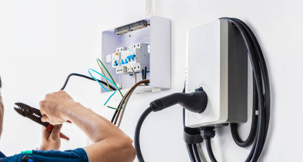 Best Electric Panel Repair  in Wabasha, MN
